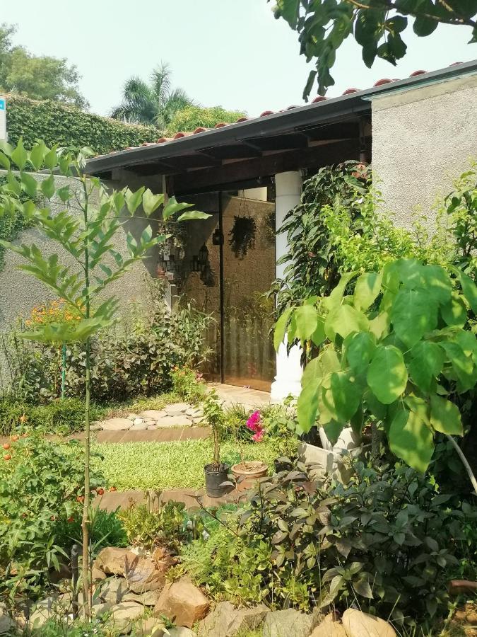 Granados Bed & Breakfast Asuncion Dış mekan fotoğraf