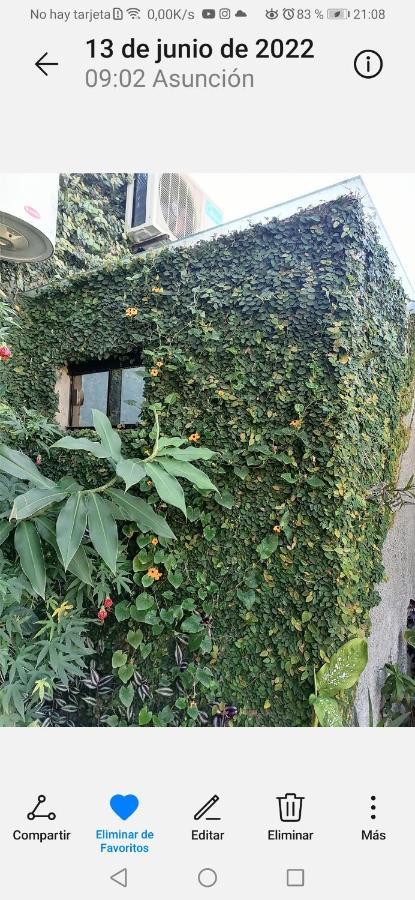 Granados Bed & Breakfast Asuncion Dış mekan fotoğraf