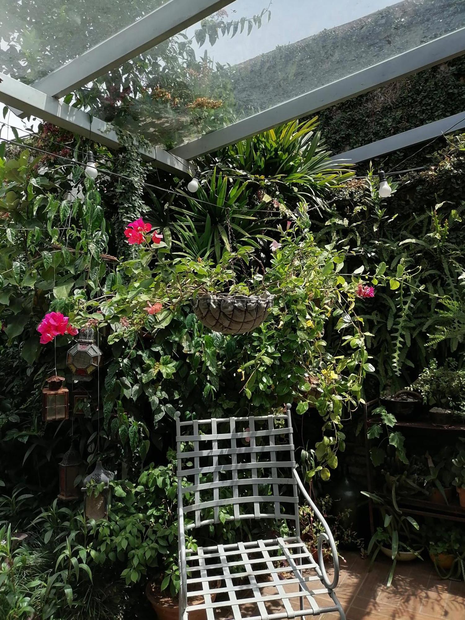Granados Bed & Breakfast Asuncion Dış mekan fotoğraf