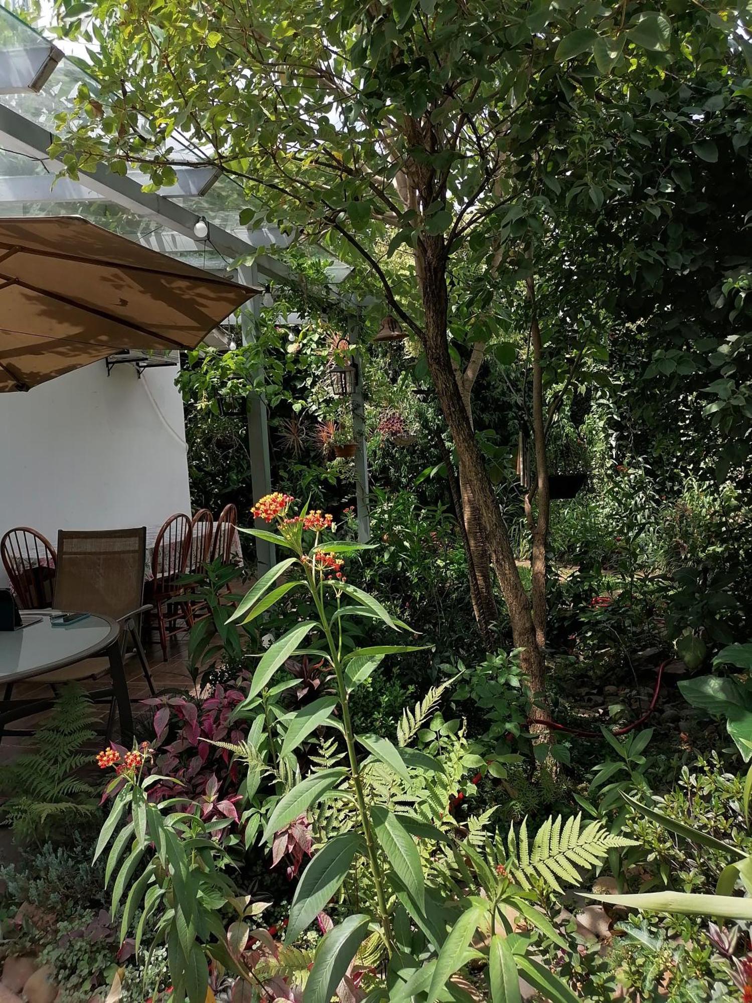 Granados Bed & Breakfast Asuncion Dış mekan fotoğraf