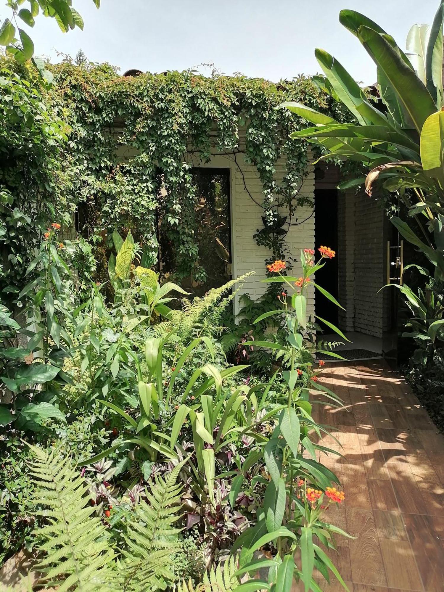 Granados Bed & Breakfast Asuncion Dış mekan fotoğraf