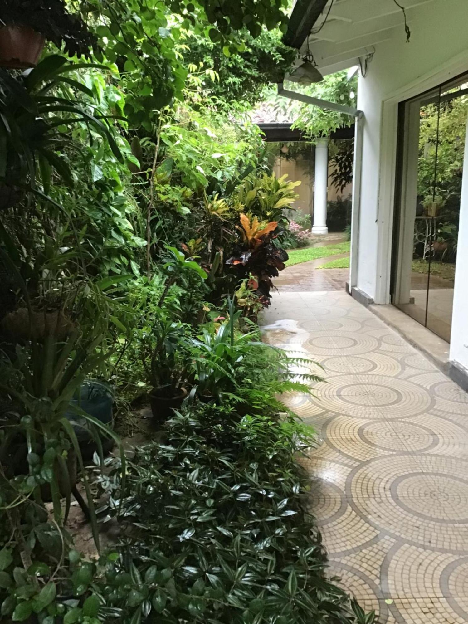 Granados Bed & Breakfast Asuncion Dış mekan fotoğraf