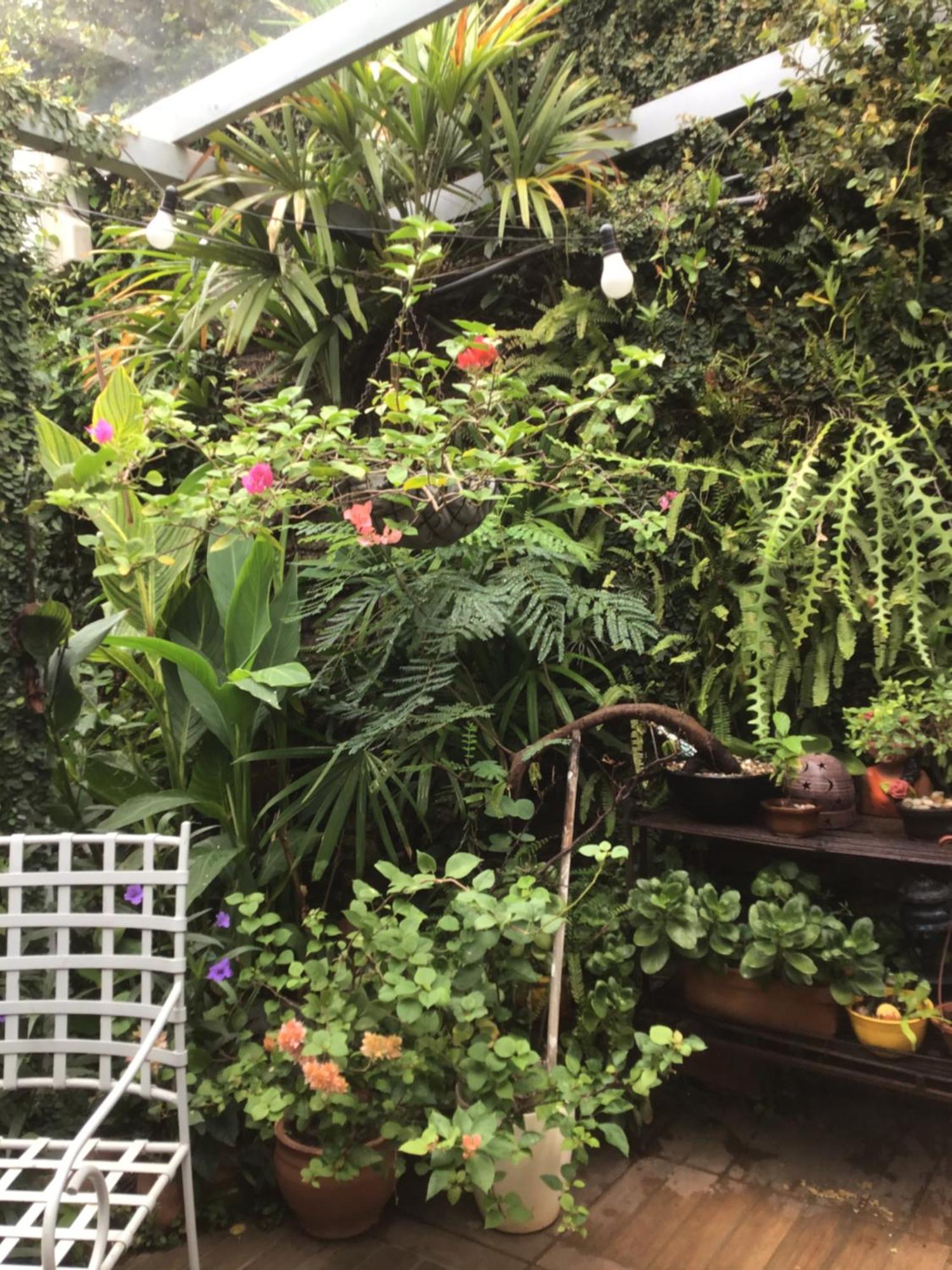 Granados Bed & Breakfast Asuncion Dış mekan fotoğraf