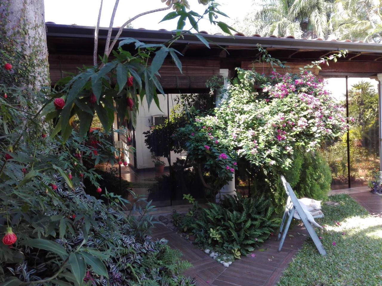 Granados Bed & Breakfast Asuncion Dış mekan fotoğraf
