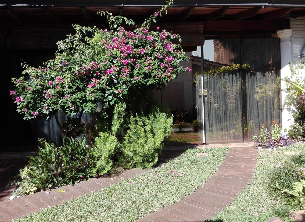 Granados Bed & Breakfast Asuncion Dış mekan fotoğraf